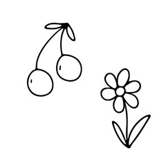 Hand drawn flower daisy and berries cherry. Vector outline sketch. Line art doodle isolated on white