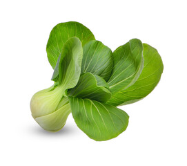 Pak Choi isolated on transparent background. (.PNG)