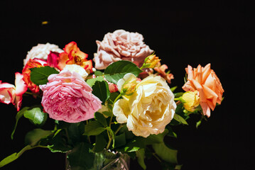 nice roses in the vase