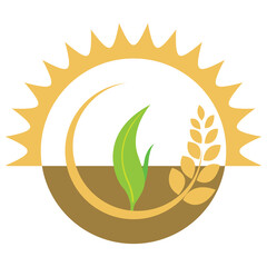 solar logo green leaves, ears of rice, ground, transparent background