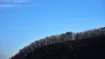 Beautiful mountains and trees in Korea