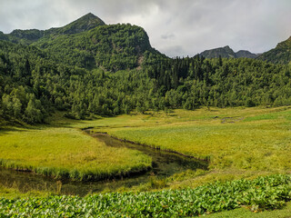 Beautiful view of the landscape of the Caucasus mountains and green hills with tall trees. Mountain...