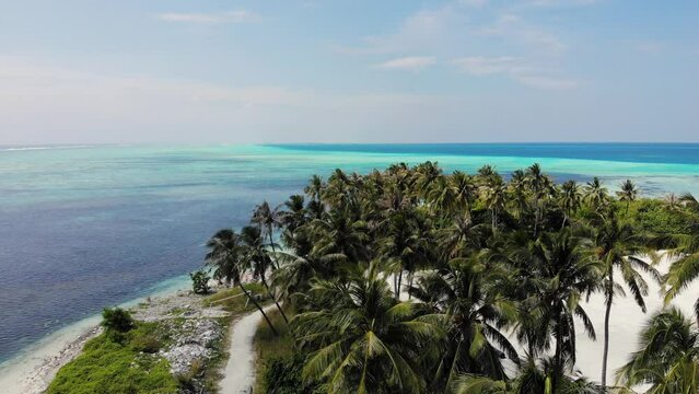 Drone flying over the palms. Palm trees and blue ocean background. Maldives footage.