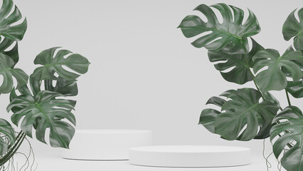 Monstera plants decoration and Empty podium Blank product shelf standing backdrop. 3D rendering.