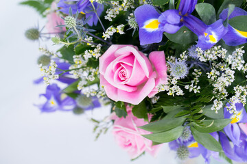 Many kinds of flowers images clear shot and macro shot see the picture in detail