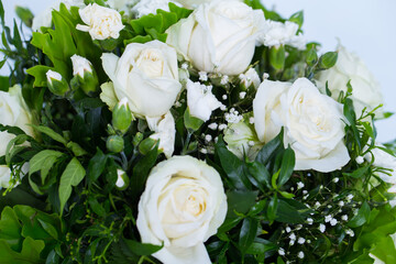 Many kinds of flowers images clear shot and macro shot see the picture in detail