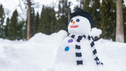 Snowman in a hat and a striped scarf. Winter fun.