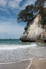 Foto op Canvas A vertical image of rocks topped by trees at cathedral cove. The ocean waves and white foam fill the foreground. Coromandel peninsula.New Zealand © Tony Skerl