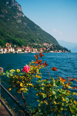 Spectacular view of Lake Como and the Bellagio peninsula visible from the botanical garden of legendary Villa Monastero in Varenna, Province of Lecco, Italy. - obrazy, fototapety, plakaty