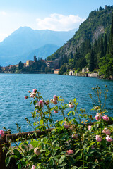 Scenic view of Lake Como and traditional village of Varenna visible through the roses of botanical garden in the Villa Monastero in Varenna, Province of Lecco, Italy.