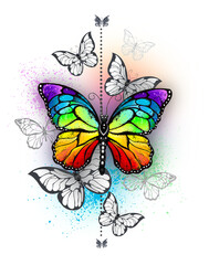 Composition with Rainbow Butterfly