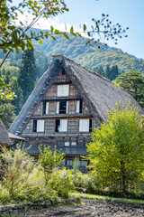 Fototapeta premium Japanese Shirakawago village during October in autumn fall foliage season. Shirakawa traditional house on triangle roof with a background of rice field, pine mountain and clear cloud sky after.