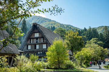 Fototapeta na wymiar Japanese Shirakawago village during October in autumn fall foliage season. Shirakawa traditional house on triangle roof with a background of rice field, pine mountain and clear cloud sky after.