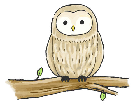 フクロウ Images Browse 6 817 Stock Photos Vectors And Video Adobe Stock