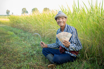 Happy Asian man farmer with smiling face hand holding money in rice farm, cash subsidy concept