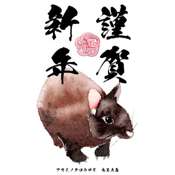 RyukyuKaninchen Bilder Durchsuchen 96 Archivfotos,