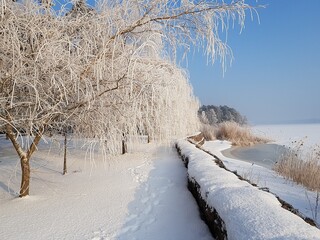 Winter landscape with trees on which the branches are covered with fluffy hoarfrost