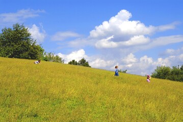 Kids playing on the meadow in the sunny day