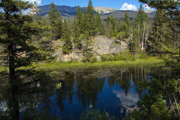 Fototapeta na wymiar Small lake at Five Lakes Trail in Jasper National Park,Alberta,Canada,North America 