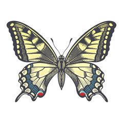 Machaon butterfly. Decorative insect isolated on white background. Vector illustration. Vintage.