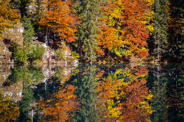 Naklejka premium Laghi di Fusine (Fusine lakes) landscape