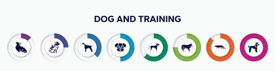 infographic element with dog and training filled icons. included corgi, grooming pet, afghan hound, dog moustache, springer spaniel, shetland sheepdog, snowshoe cat, poodle vector. - obrazy, fototapety, plakaty