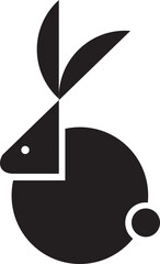 black and white rabbit
