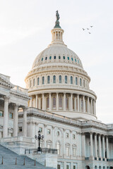 Fototapeta na wymiar United States Capitol in Washington, D.C., USA.