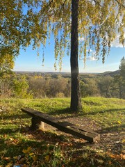 bench in autumn