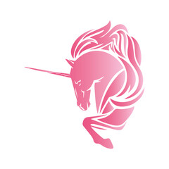 Beautiful Lovely Pink Unicorn