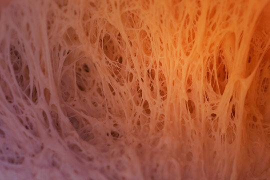 the texture of the yeast dough. tinted yellow