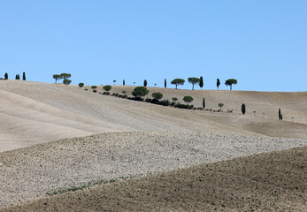 Obraz premium The rural landscape near San Quirico in Tuscany. Italy