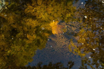 Beijing Ditan Park color autumn landscapes