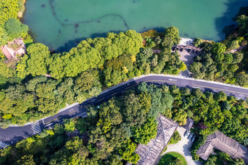 aerial photography outdoor forest road