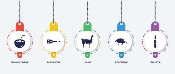 infographic element template with hunting filled icons such as coconut drink, flashlight, llama, porcupine, bullets vector.