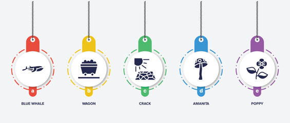 infographic element template with desert filled icons such as blue whale, wagon, crack, amanita, poppy vector.