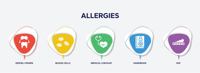 infographic element template with allergies filled icons such as dental crown, blood cells, medical checkup, handbook, soy vector.