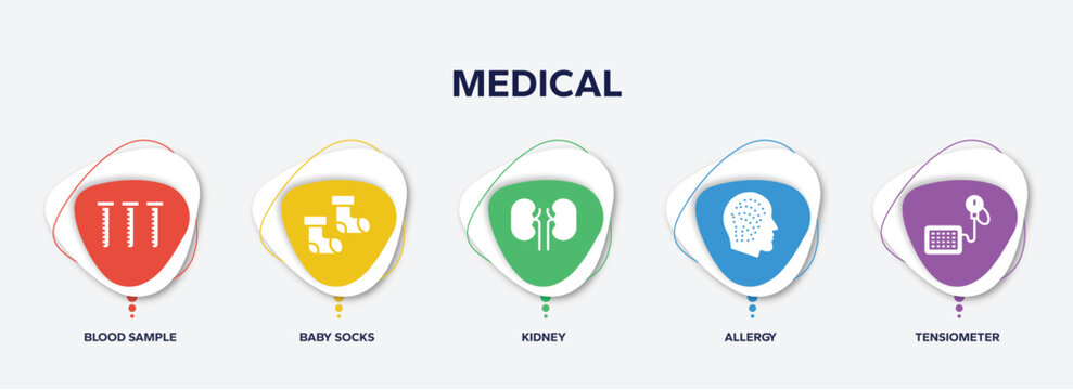 infographic element template with medical filled icons such as blood sample, baby socks, kidney, allergy, tensiometer vector.