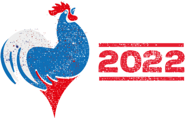 coq gaulois et drapeau français en 2022