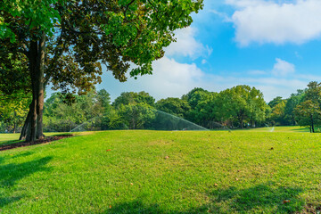 Panorama of big city park