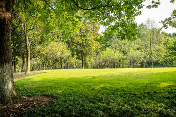 Panorama of big city park