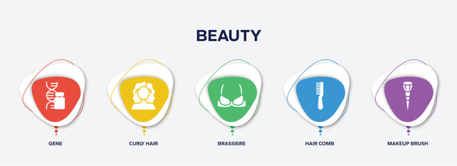 infographic element template with beauty filled icons such as gene, curly hair, brassiere, hair comb, makeup brush vector.