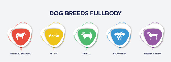 infographic element template with dog breeds fullbody filled icons such as shetland sheepdog, pet toy, shih tzu, psocoptera, english mastiff vector.