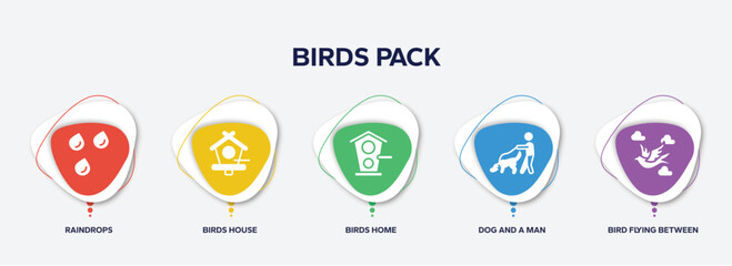 infographic element template with birds pack filled icons such as raindrops, birds house, birds home, dog and a man, bird flying between clouds vector.