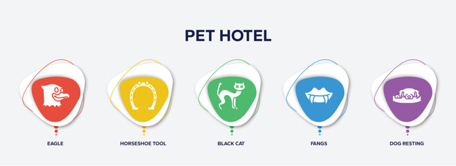 infographic element template with pet hotel filled icons such as eagle, horseshoe tool, black cat, fangs, dog resting vector.