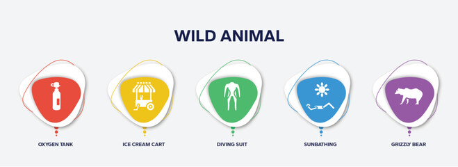 infographic element template with wild animal filled icons such as oxygen tank, ice cream cart, diving suit, sunbathing, grizzly bear vector.