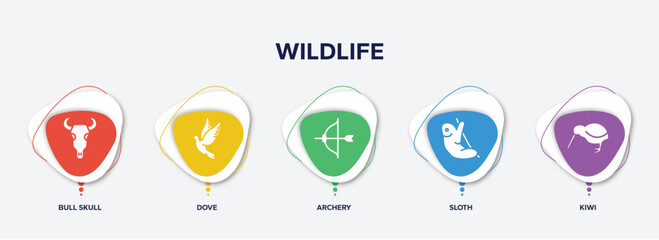 infographic element template with wildlife filled icons such as bull skull, dove, archery, sloth, kiwi vector.