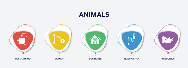 infographic element template with animals filled icons such as pet shampoo, branch, dog house, teasing stick, rhinoceros vector.