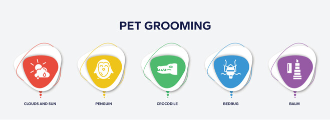 infographic element template with pet grooming filled icons such as clouds and sun, penguin, crocodile, bedbug, balm vector.