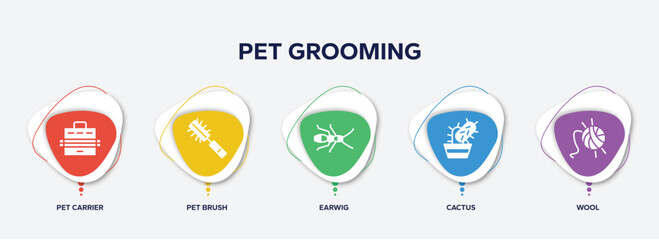 infographic element template with pet grooming filled icons such as pet carrier, pet brush, earwig, cactus, wool vector.
